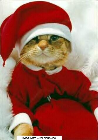 Imagini Haioase - HO,HO,HO!Cine vrea cadouri dragii mei copilasi? - ..::K@MiK@Ze::..